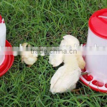 Most popular and big factory poultry feeders and drinkers/automatic chicken feeder