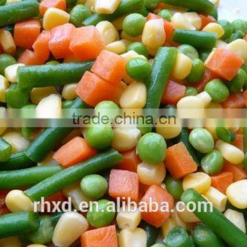 2016 frozen vegetables factory/Frozen Mix Vegetables (IQF Beas -IQF peas- IQF Carrots... ...)