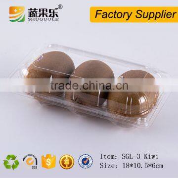 PET plastic disposable fresh kiwi fruit packaging box