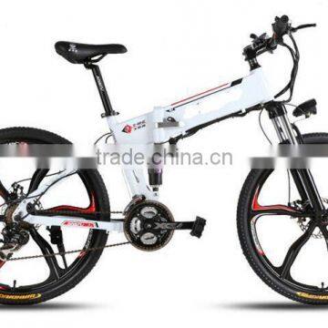 Aluminum High Speed Adult 48V 750W E-Bike