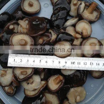 Hot Sales IQF Shiitake Mushroom With Best Price photo-5