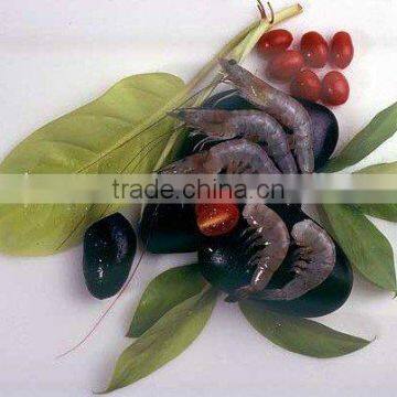 Vannamei White Shrimp
