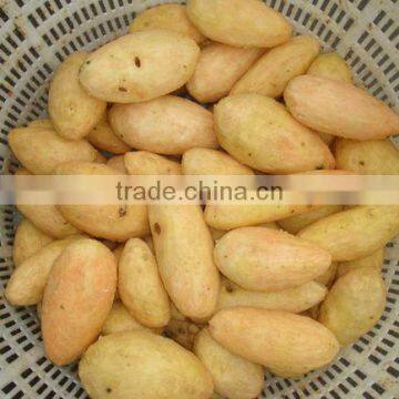 GL-380 Full Automatic Potato Vegetable and Fruit Washing and Peeling Machine photo-4
