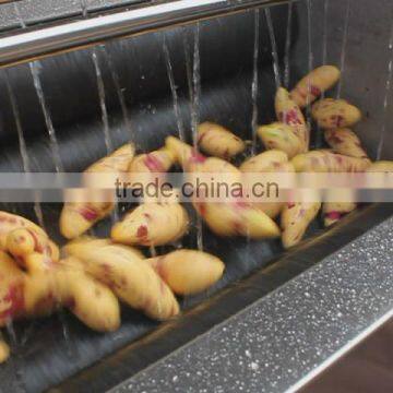 Widely Used Fruit Vegetable Washing Potato Peeling Machine Fish Sin Peeler photo-5