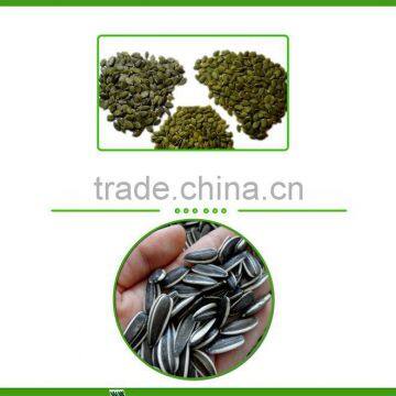 Chinese Hybrid Sunflower Seed for Planting photo-6