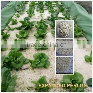 Lightweight aggregate expanded perlite for Hydroponic Organic Garden