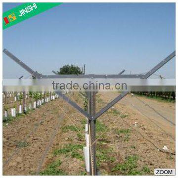 Vineyard Trellis Galvanized steel stake