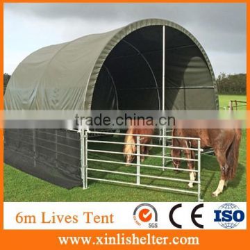 Agriculture PVC fabric 6*6*3.7m span Cattle Shelter