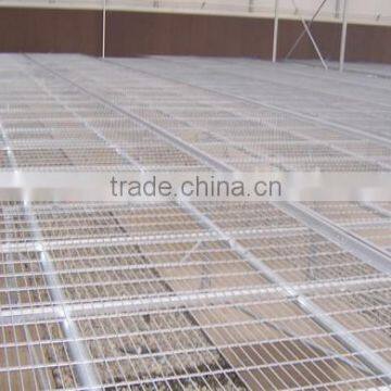 Hot dipped galvanized wire mesh for greenhouse