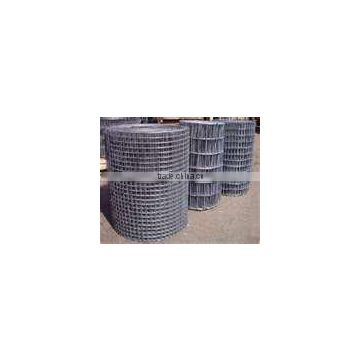 Electro Galvanized Welded Wire Net