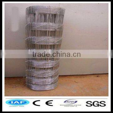 China suppliers electric fence for cattle