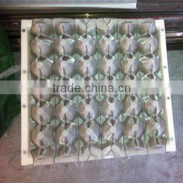 plastic injection egg tray molds