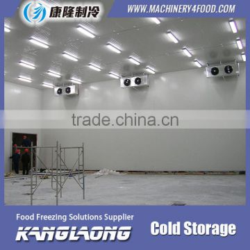 China Factory Professional Blast Freezer Cold Room