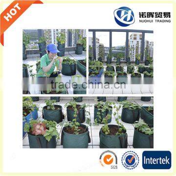 2016 Plant Nursery Bag Customized Felt Plant Pot photo-3