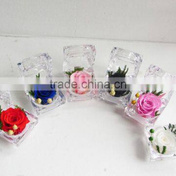 Fashionable And Natural Real Rose Preserved Flowers Wholesale With Acrylic Ring Box Decoration