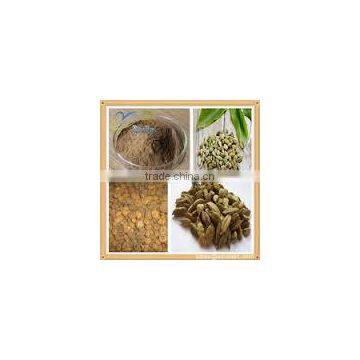 Datura Stramonium Extract photo-2