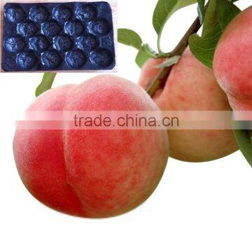 Fresh Produce Packaging Tray For Tomato photo-2