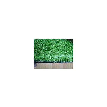 PE Curly Fibrillated Yarn Cricket Pitch Grass Artificial Synthetic Turf