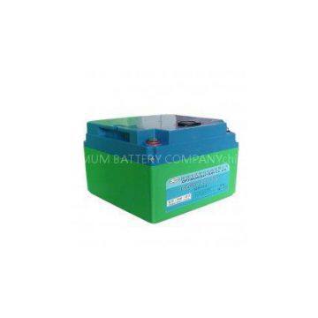 High Power LiFePO4 Battery For Caravans 12V 30AH Motive Batteries