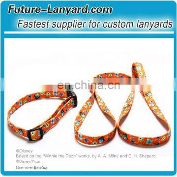 Fashion customized OEM pet leash for animals