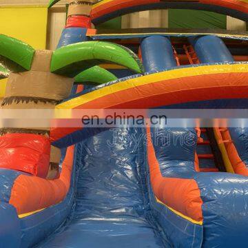 Double Lane Rainbow Palm Tree Water Slides Inflatable Tropical Water Slide For Children photo-3