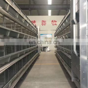 Supply Completely Automatic Laying Hen/Egg Layer Battery H Type Chicken Cages System