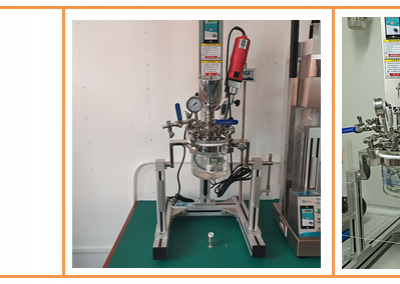 AMM-SE-5L Laboratory Simple Vaccum Closed Reactor-Non Standard Customizable Reaction Kettle