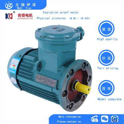 YBX4 Three-phase Asynchronous Explosion-proof Motor photo-2