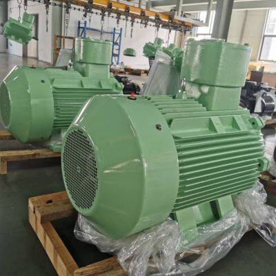 Rare Earth Permanent Magnet Synchronous Motor, Environmentally Friendly and Energy-saving Motor, Trend Product, Tyb-90s L-4/1.1kw 1.5kw photo-4