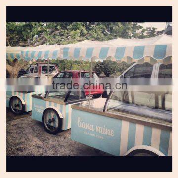 Ice cream trruck freezer/Gelato cart/Popsicle mobile cart