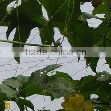 Plant Support Net