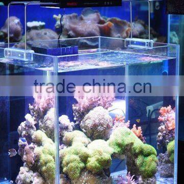 Pharos Aquarium LED Light for SPS Corals