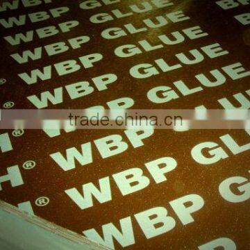 Concrete Shuttering Plywood / Phenolic Plywood Board