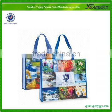 pet non woven bag