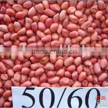 Peanut Kernels With Red Skin 50/60