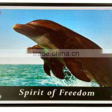 Metal Wall Art Decoration Embossed License Plate