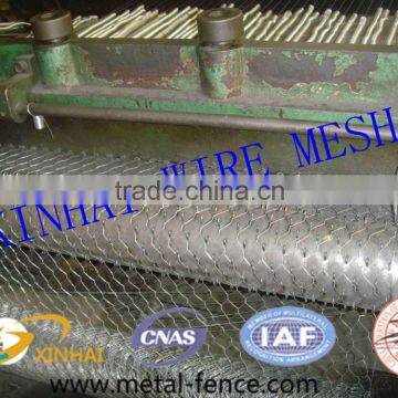 chicken wire mesh/hexagonal wire mesh