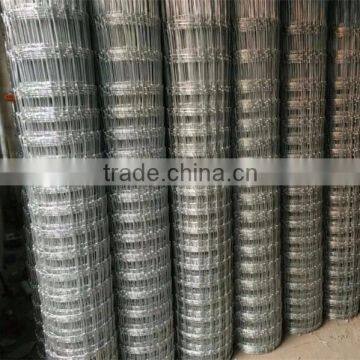 factory direct sale galvanized field fence in store