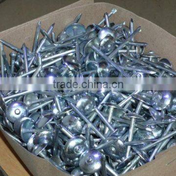 Galvanized umbrella head roofing nails (Direct From Factory)