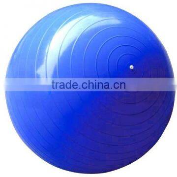 Professional Swiss Yoga Ball for Fitness