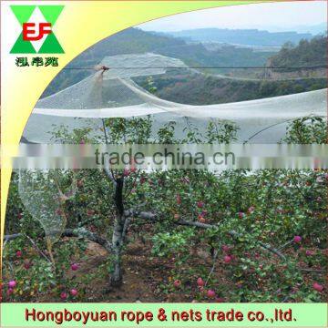 Best price of transparent anti-hail net with UV protection in it