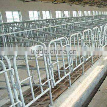 Poultry Automatic Pig Farming Equipment
