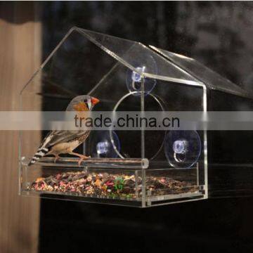 Squirrel-Proof Acrylic Window Bird Feeder By Gamgee's Garden- Watch Wild Birds Feed up Close