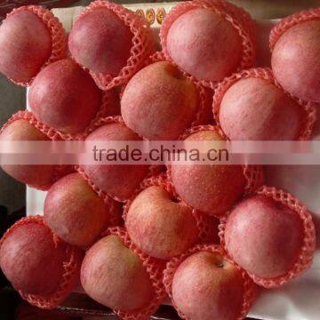 Fuji Apple of Apple Varieties