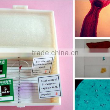 University lab biological and medical science microscope slides