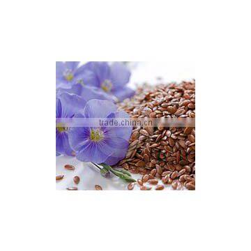 Flax Seed Extract 10:1