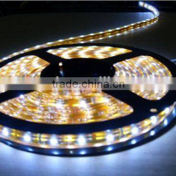  shenzhen china warm white cheap led strip 2 years warranty 12v 24v strip led 3528