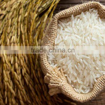 MEDIUM ROUND RICE (5% BROKEN) - CHEAPEST PRICE - THE BEST QUALITY - CURRENT RICE (EMAIL: SALES5@VINARICE.VN SKYPE: SONAINTER5)