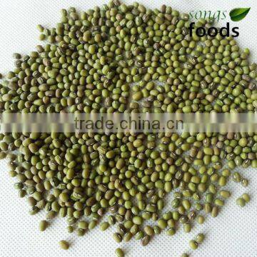 All Variety Beans With Green Color