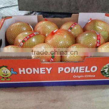 Pomelo New Crop photo-3